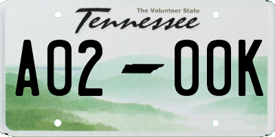 TN license plate A0200K