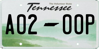 TN license plate A0200P