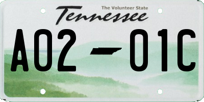 TN license plate A0201C