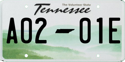 TN license plate A0201E