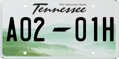 TN license plate A0201H