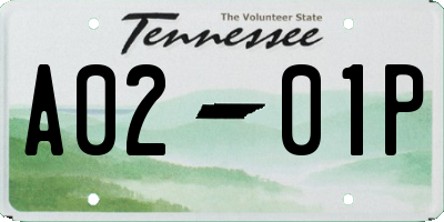 TN license plate A0201P