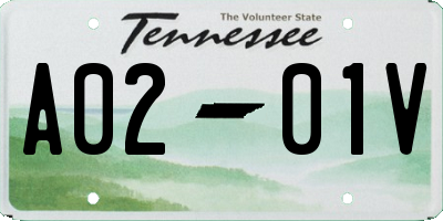 TN license plate A0201V