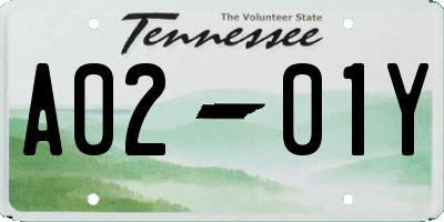 TN license plate A0201Y