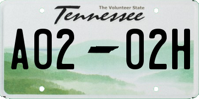 TN license plate A0202H