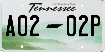 TN license plate A0202P