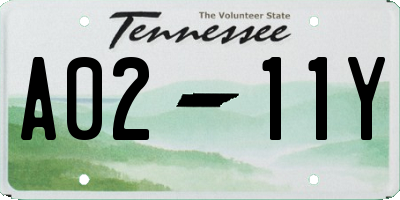 TN license plate A0211Y