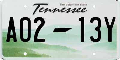 TN license plate A0213Y