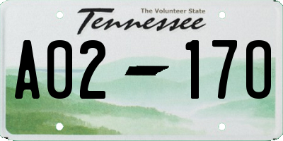TN license plate A0217O