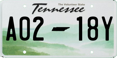 TN license plate A0218Y