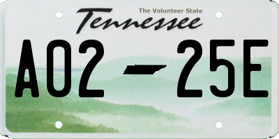 TN license plate A0225E