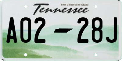 TN license plate A0228J