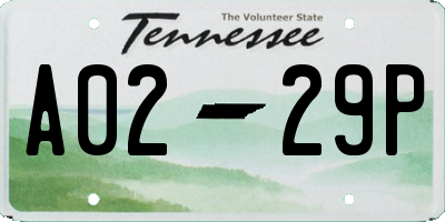 TN license plate A0229P