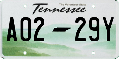 TN license plate A0229Y