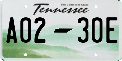 TN license plate A0230E