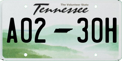 TN license plate A0230H