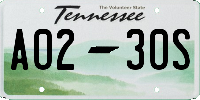 TN license plate A0230S