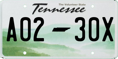 TN license plate A0230X