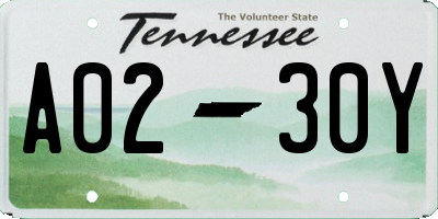 TN license plate A0230Y