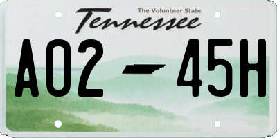 TN license plate A0245H