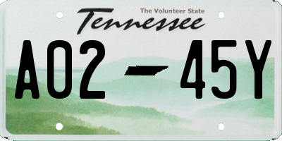 TN license plate A0245Y