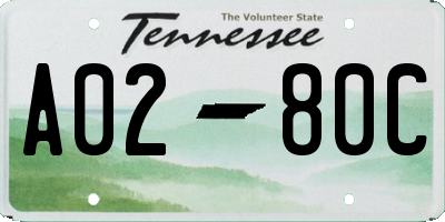 TN license plate A0280C