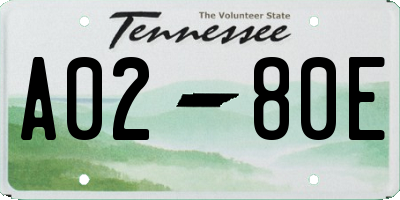 TN license plate A0280E