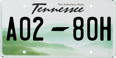 TN license plate A0280H