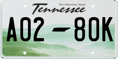 TN license plate A0280K