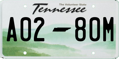 TN license plate A0280M