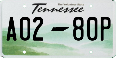 TN license plate A0280P