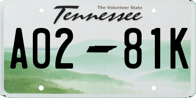 TN license plate A0281K