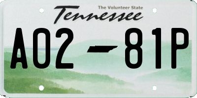 TN license plate A0281P