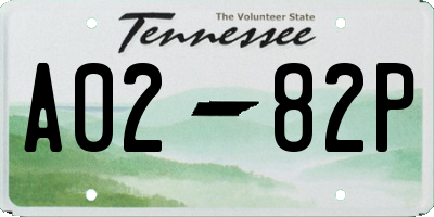 TN license plate A0282P