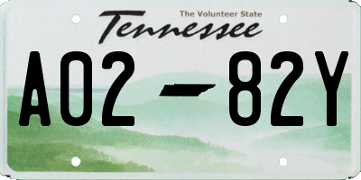 TN license plate A0282Y