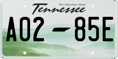 TN license plate A0285E