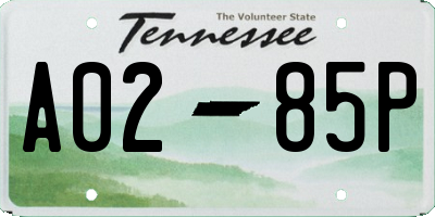 TN license plate A0285P