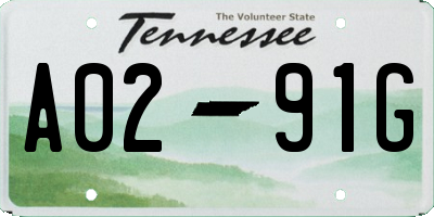 TN license plate A0291G