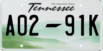 TN license plate A0291K