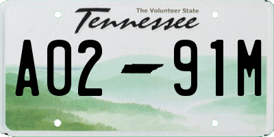 TN license plate A0291M