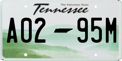 TN license plate A0295M