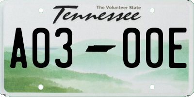 TN license plate A0300E