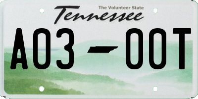 TN license plate A0300T