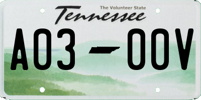 TN license plate A0300V