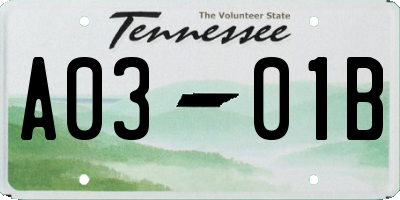 TN license plate A0301B