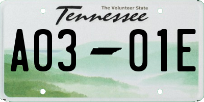 TN license plate A0301E
