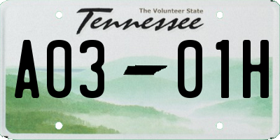 TN license plate A0301H