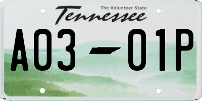 TN license plate A0301P