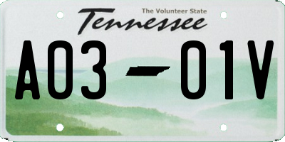 TN license plate A0301V