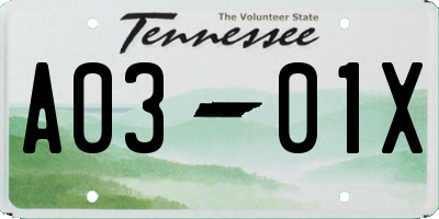 TN license plate A0301X